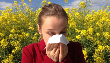 Ranking najlepszych oczyszczaczy powietrza dla alergików 