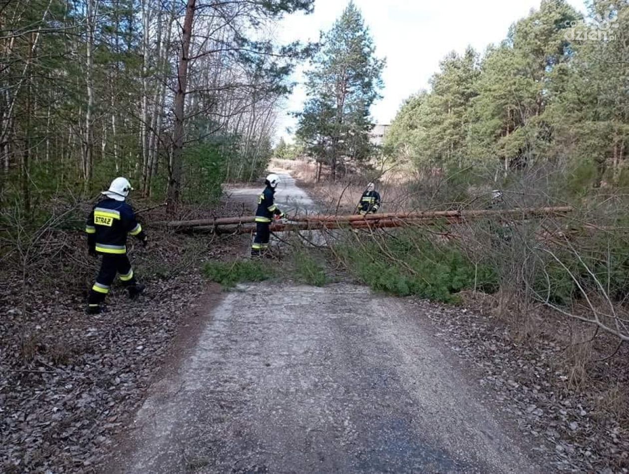 Pełna gotowość ostrowieckich strażaków 