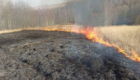 Plaga wiosennych pożarów traw