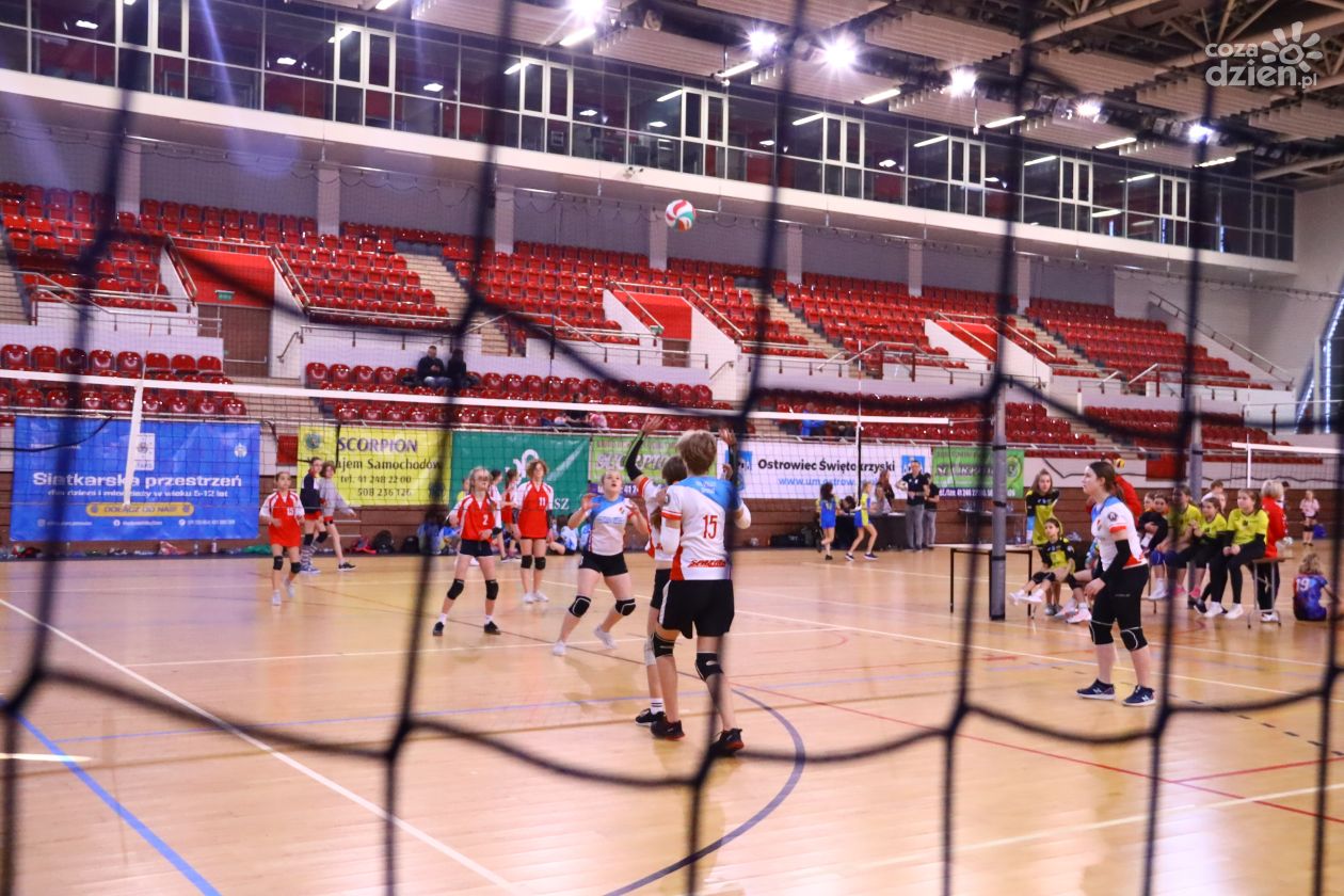 Świętokrzyskie Mini Volley Cup - Zdjęcia