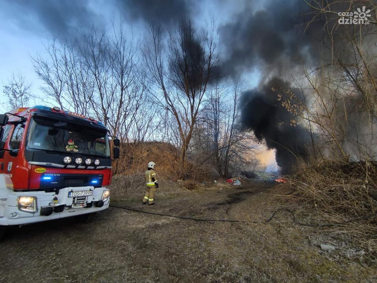 Pożary traw pustoszą nasze środowisko 