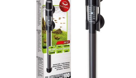 Sposoby ogrzewania do terrarium. Jakie rozwiązanie będzie najlepsze?