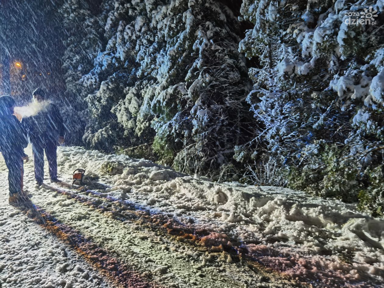 Nie bądźmy obojętni. Zima to czas próby dla najsłabszych