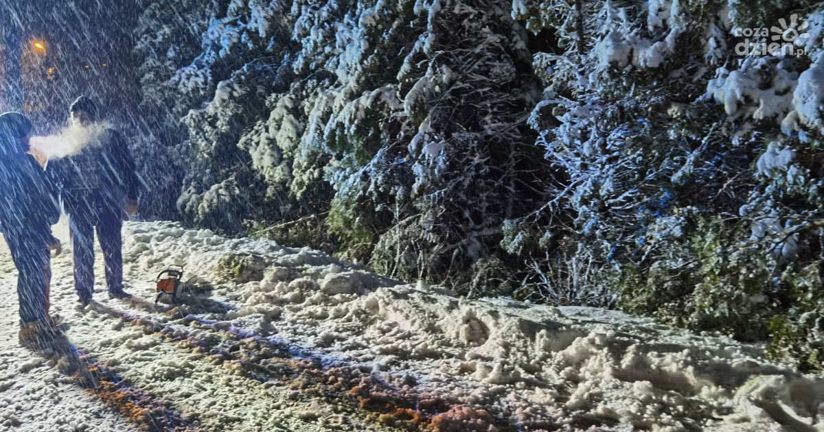 Nie bądźmy obojętni. Zima to czas próby dla najsłabszych