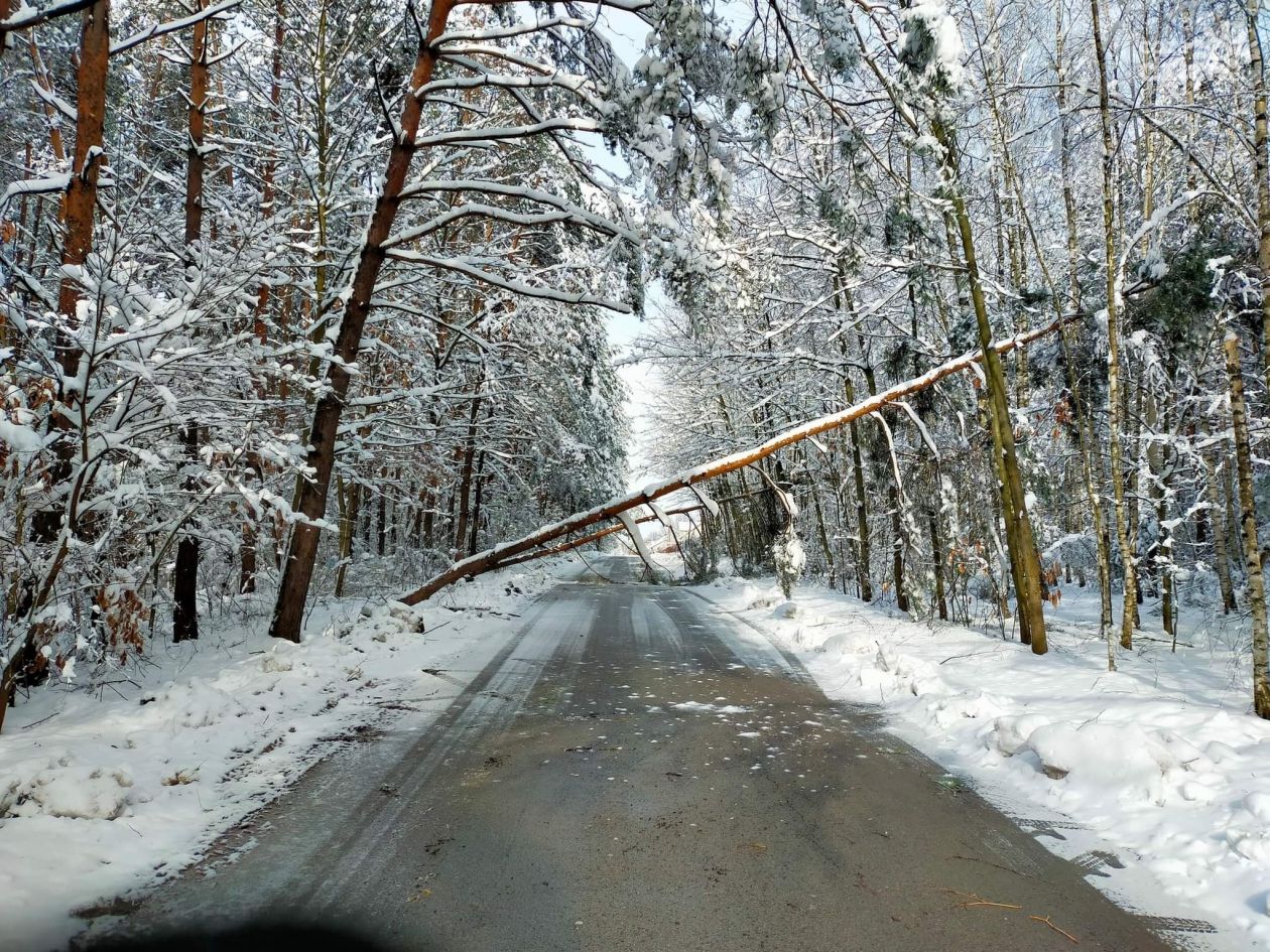 Strażacy nadal usuwają skutki ostatniej śnieżycy 
