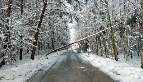 Strażacy nadal usuwają skutki ostatniej śnieżycy 