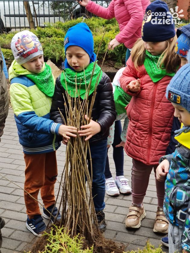 Przedszkolaki sadziły drzewka z okazji Dnia Ziemi