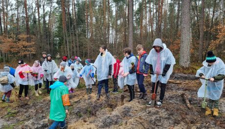 Energetycy razem z dziećmi sadzili las 