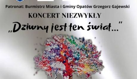 Koncert majowy w Opatowie 