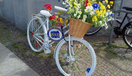 W Kielcach jak w Amsterdamie. Kolorowe rowery zdobią ulicę Sienkiewicza