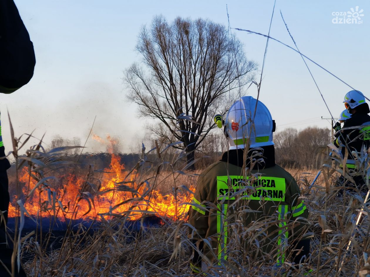 Blisko 800 wyjazdów ostrowieckiej Straży Pożarnej