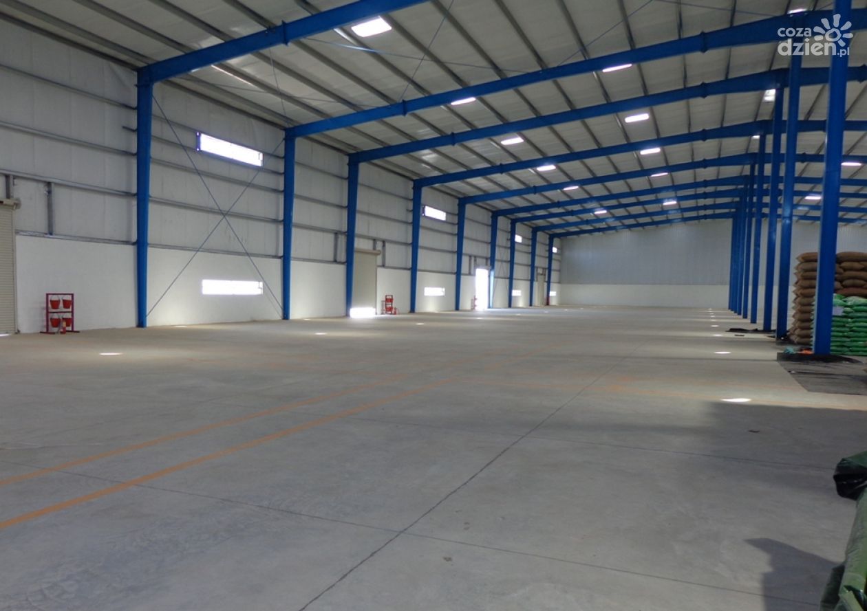 Jak wygląda proces wynajmu magazynu? Na co zwracać uwagę przy wynajmie?