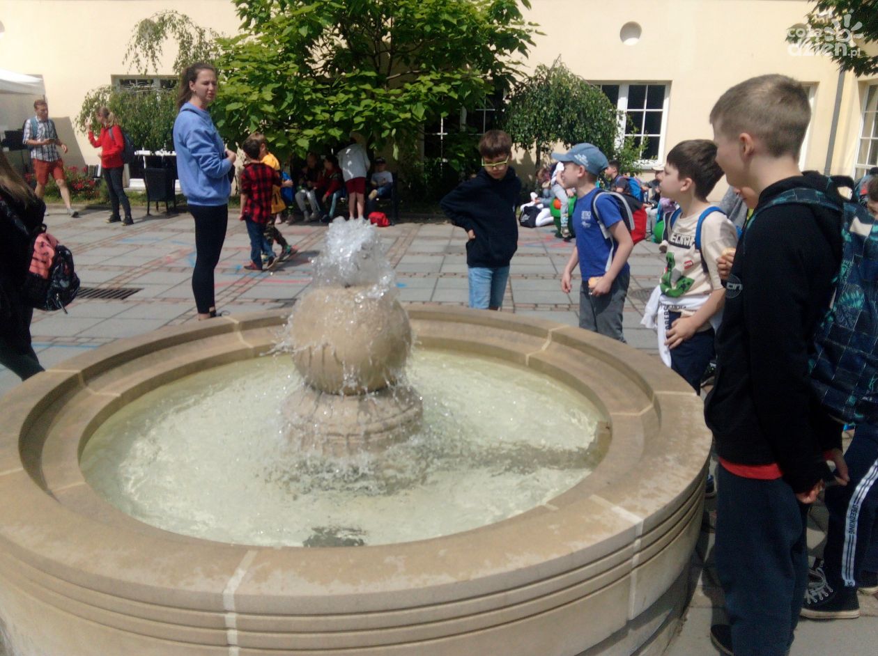 Lato w Kielcach. Miasto przygotowało moc atrakcji