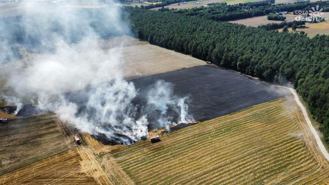 Spłonął prawie hektar ścierniska