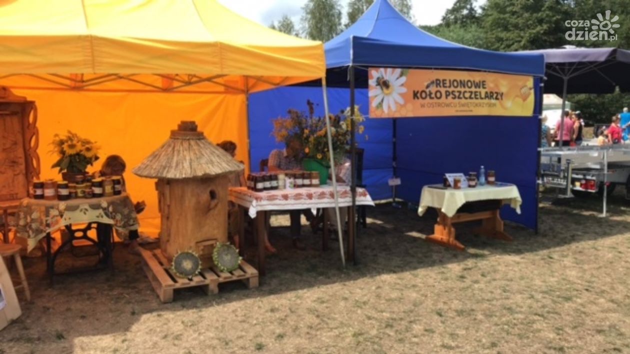 Międzynarodowy zasięg bałtowskiego Święta Pszczoły