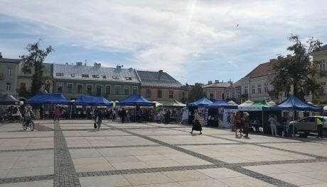 W czwartek 8 września odbyły się Targi Pracy w Kielcach