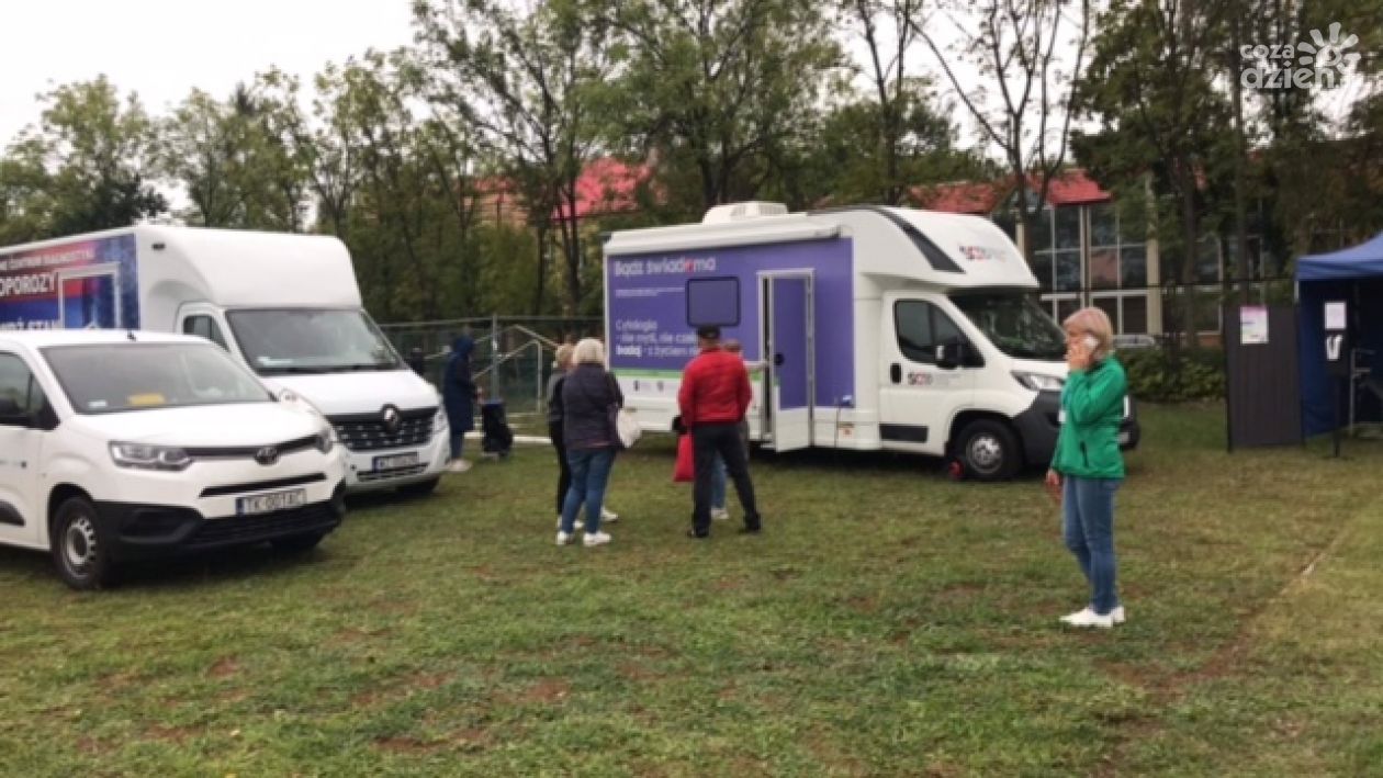 Profilaktyka na pikniku