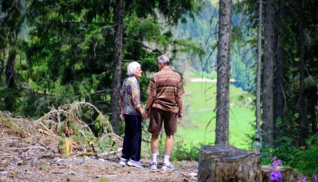 Odnaleźli 83-latkę. Seniorka zgubiła się w lesie podczas grzybobrania