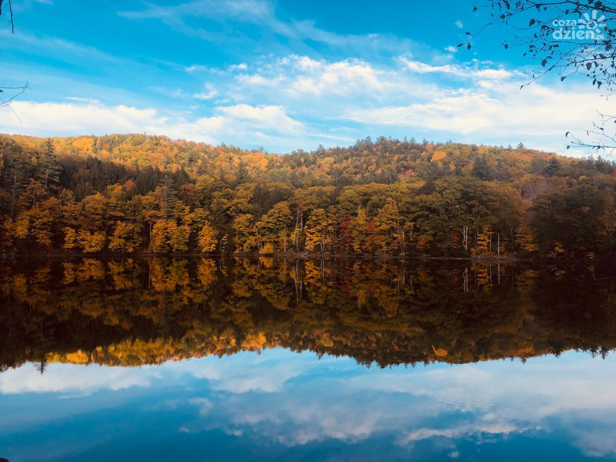 Jesień nie musi być nudna! Sprawdź, co robić jesienią!