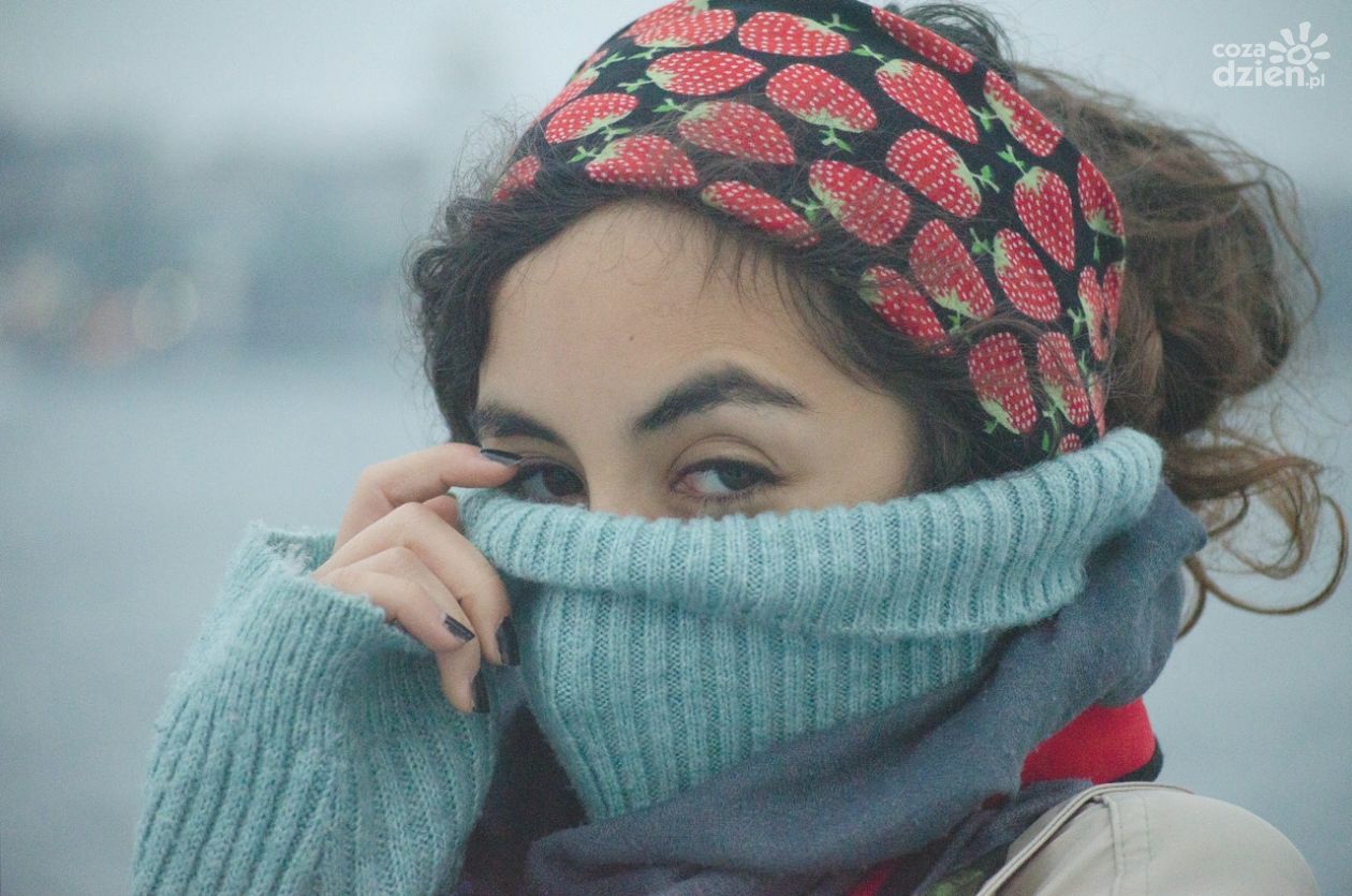 Jak znaleźć sweter dobrej jakości?