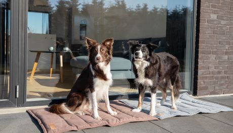 Taras – niezawodne miejsce na relaks 