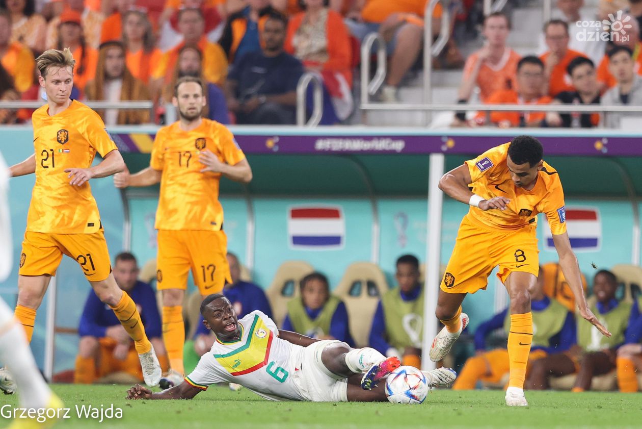 Senegal - Holandia 0:2 w obiektywie Wajdy
