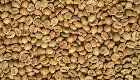 Zanurz się w świat pełen aromatu