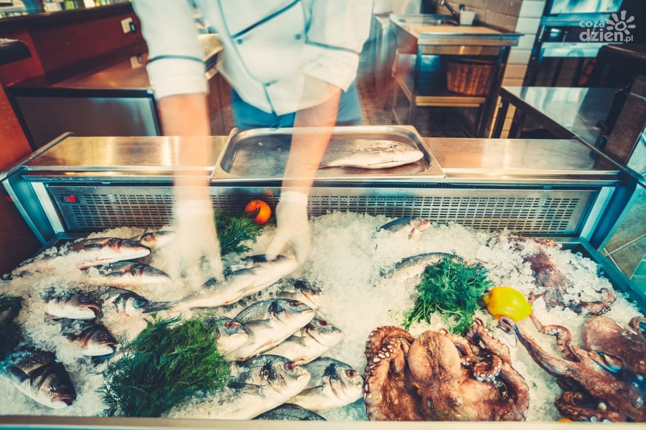 Urządzenia chłodnicze w gastronomii — gwarancja świeżych i trwałych produktów spożywczych