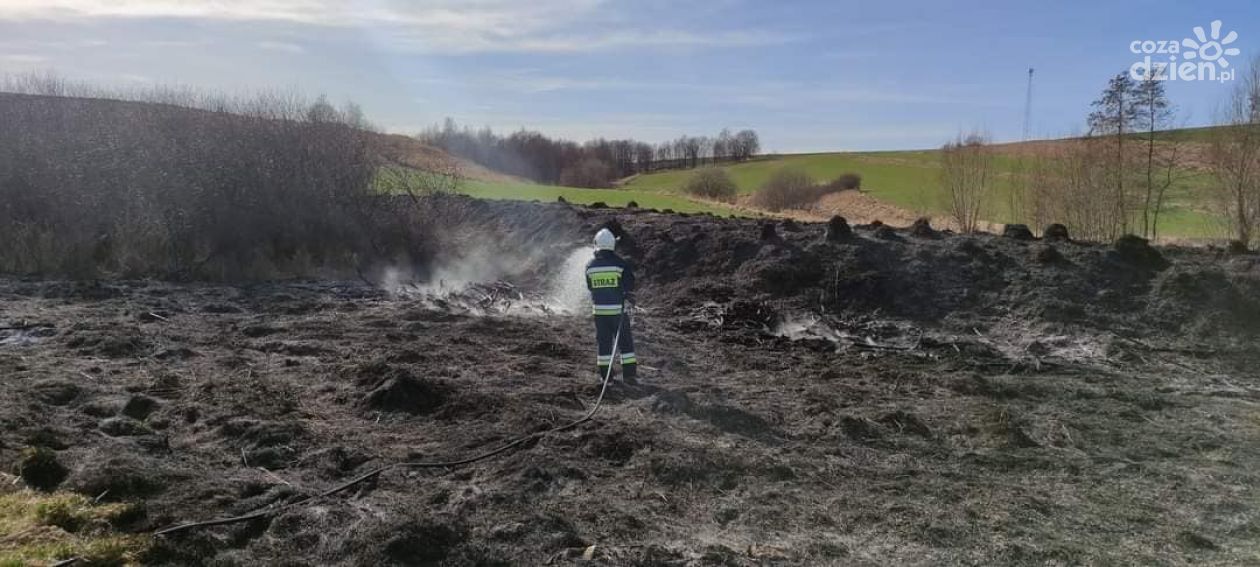 Strażacy gasili nie tylko pożary budynków ale również nieużytków 