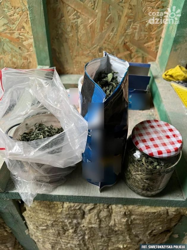 400 g narkotyków przejęli funkcjonariusze z Końskich