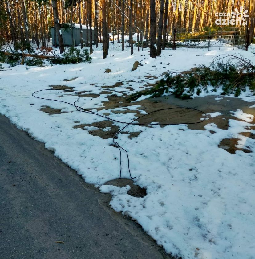 Linie energetyczne zrywane pod ciężarem mokrego  śniegu  