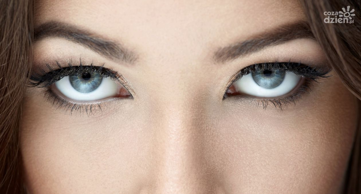 Co to jest przetwarzanie wzrokowe?