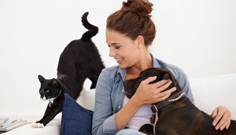 Karma Delcon — najlepsze jedzenie, którego potrzebuje Twój pupil do prawidłowego funkcjonowania