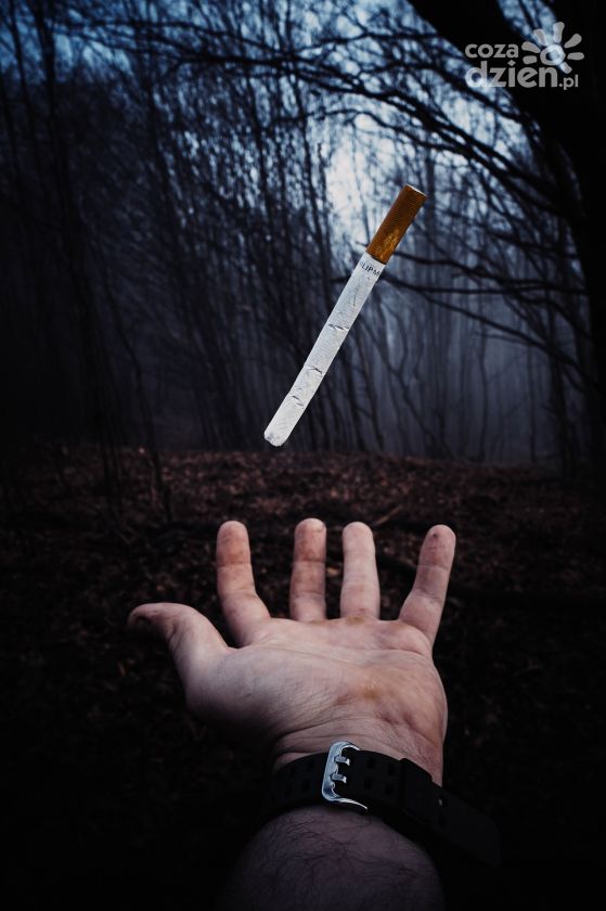 Nielegalna wytwórnia wyrobów tytoniowych zlikwidowana - sukces staszowskich i kieleckich policjantów