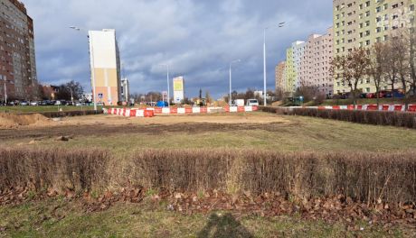 Ostrowczanie sprzeciwiają się wycince drzew na ul. Radwana 