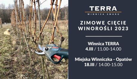 Pokaz cięcia i pielęgnacji winorośli