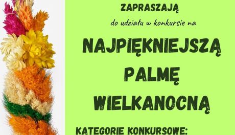 Gmina Bałtów ogłasza konkurs na najpiękniejszą palmę 