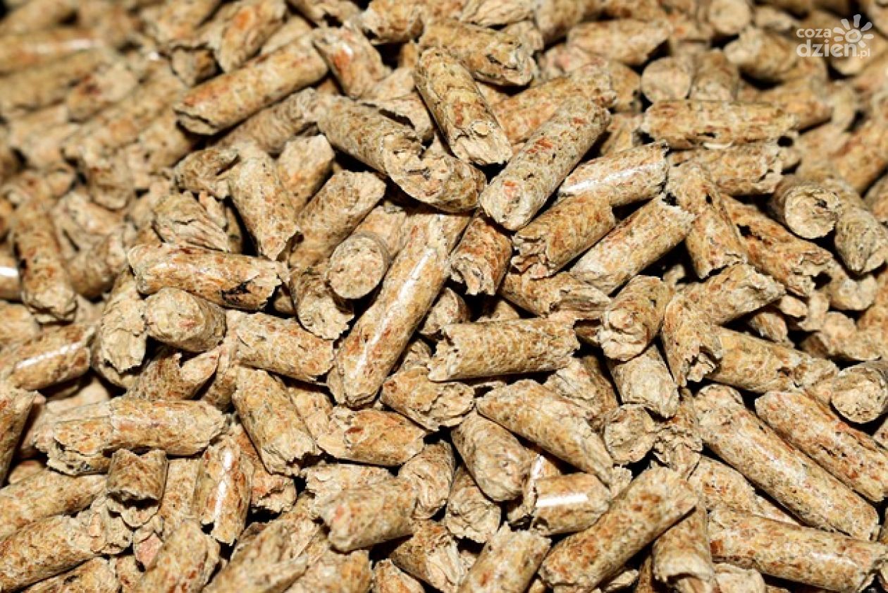 Jak wybrać piec na pellet ?