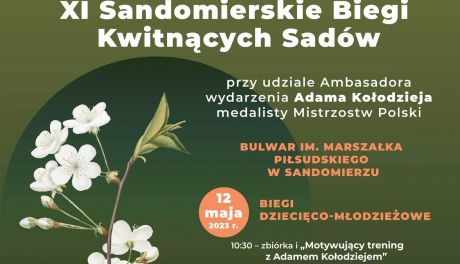 Biegi Kwitnących Sadów w Sandomierzu
