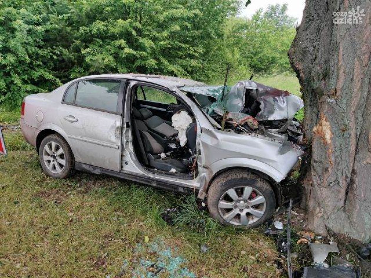 Dwóch mężczyzn zmarło po uderzeniu autem w drzewo