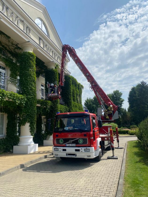 Ćwiczenia na obiekcie Dwór Dwikozy Hotel Sandomierz