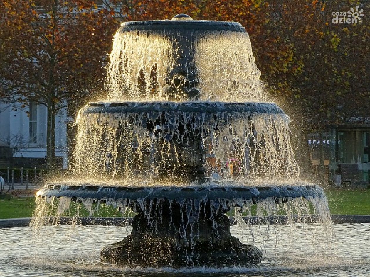 Czym zagraża kąpiel w fontannie miejskiej? 