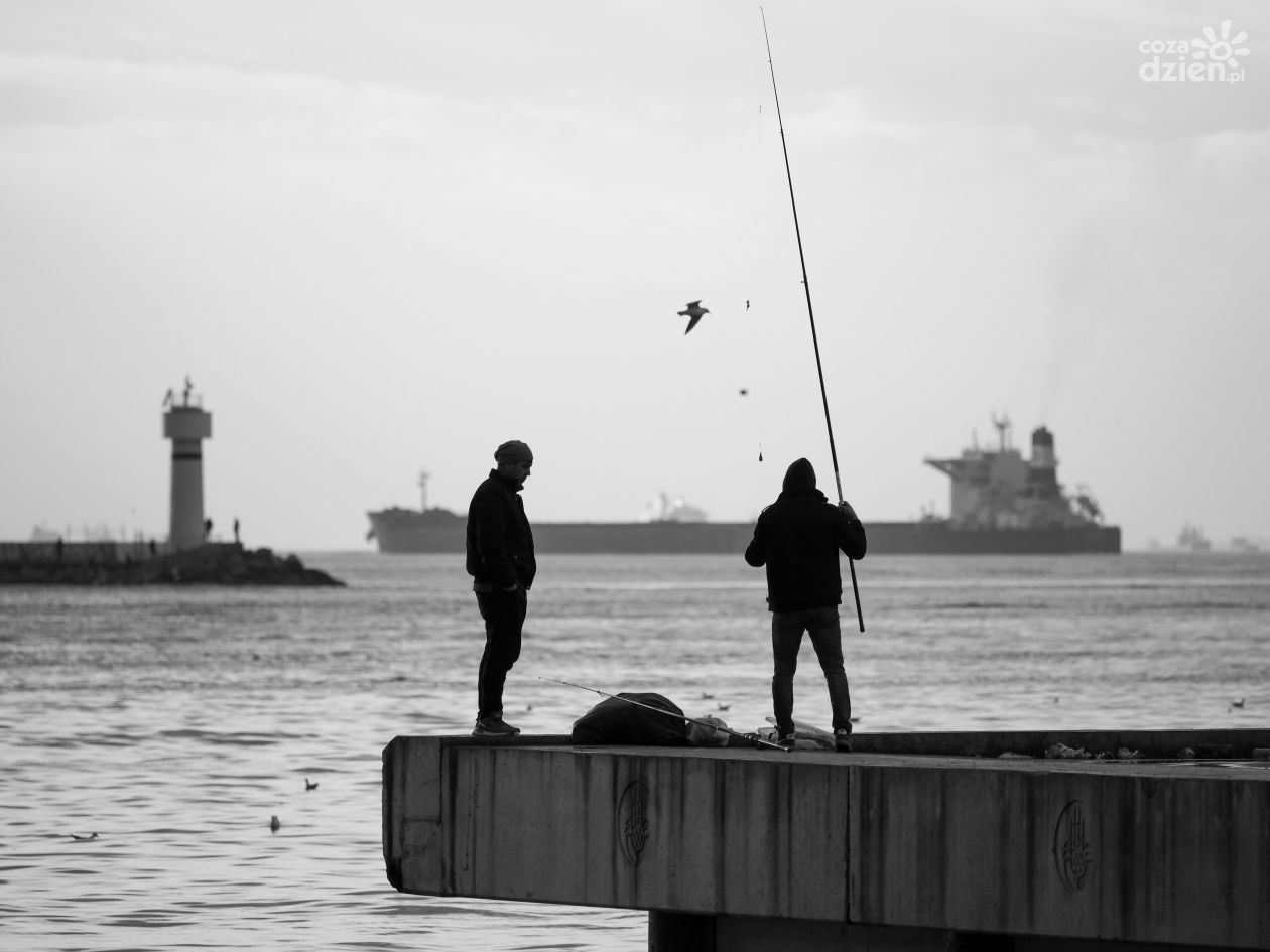 Wędkarstwo dla początkujących – co kupić w sklepie wędkarskim?