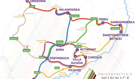 Szlakiem świętokrzyskich winnic 