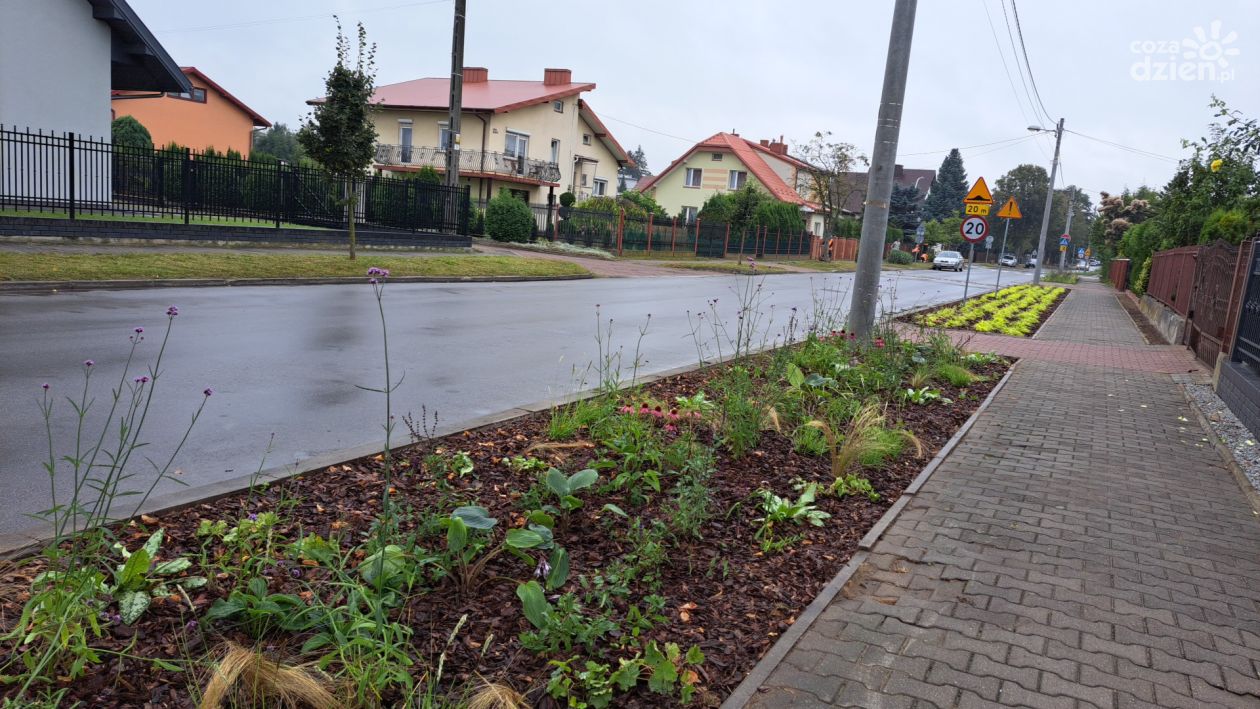 Przy ostrowieckich ulicach będą kwietne rabaty