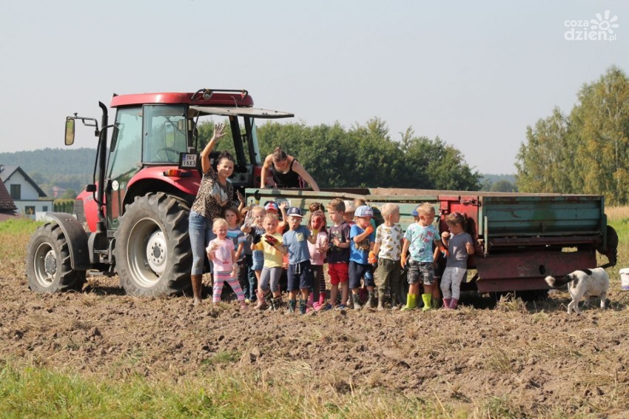 W gminie Daleszyce najmłodsi sprawdzili skąd się biorą ziemniaki?