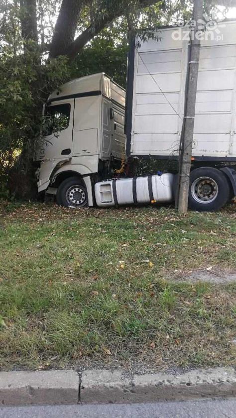 Zderzenie ciężarówki przewożącej zwierzęta z BMW