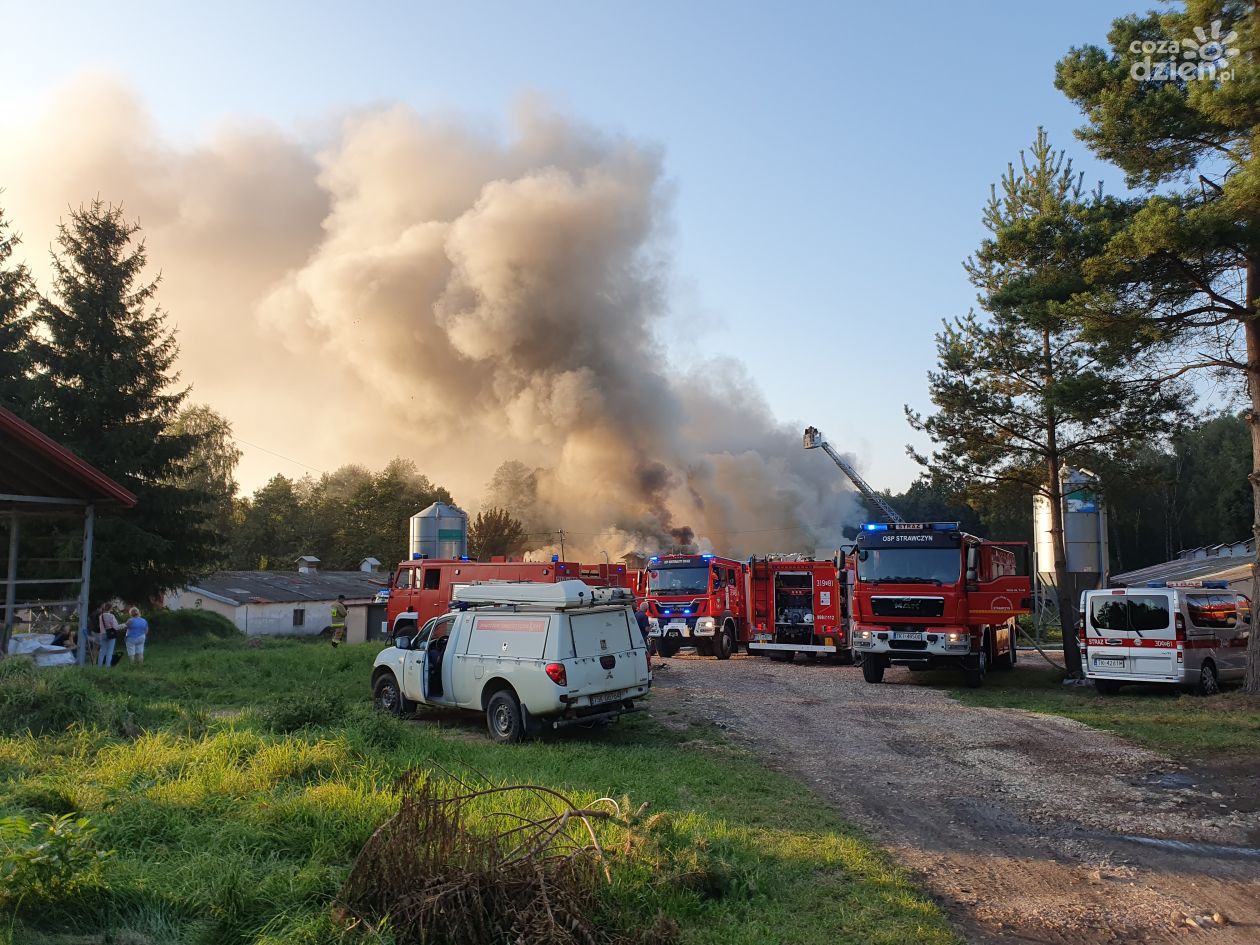 Wielki pożar kurnika w miejscowości Ćmińśk. W środku ponad 30 tys. piskląt