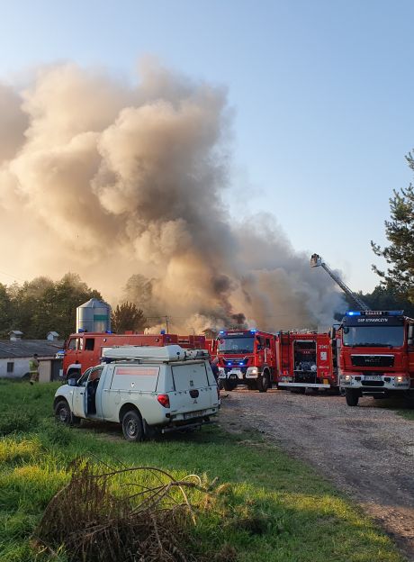 Wielki pożar kurnika w miejscowości Ćmińśk. W środku ponad 30 tys. piskląt