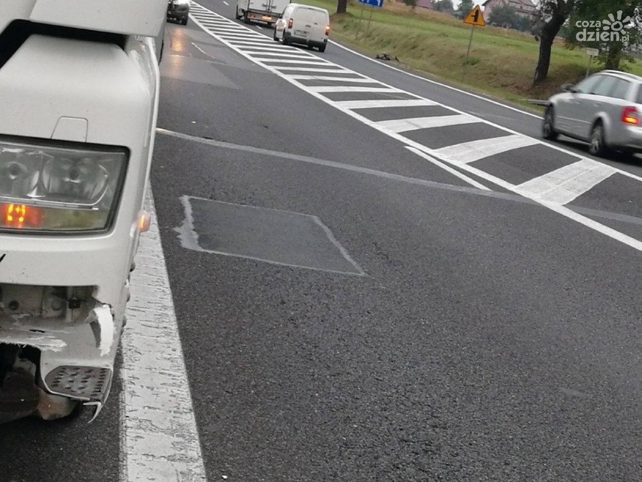 Kolizja z dzikami, cztery zwierzęta padły na miejscu